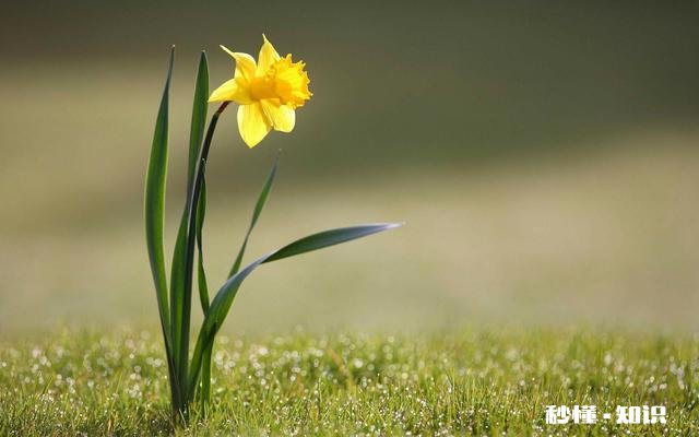 想让女朋友变得更好有错吗
