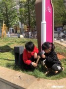 怎样从小培养学生学习上、生活上的自律