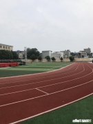 每天早上5点半起床会怎么样