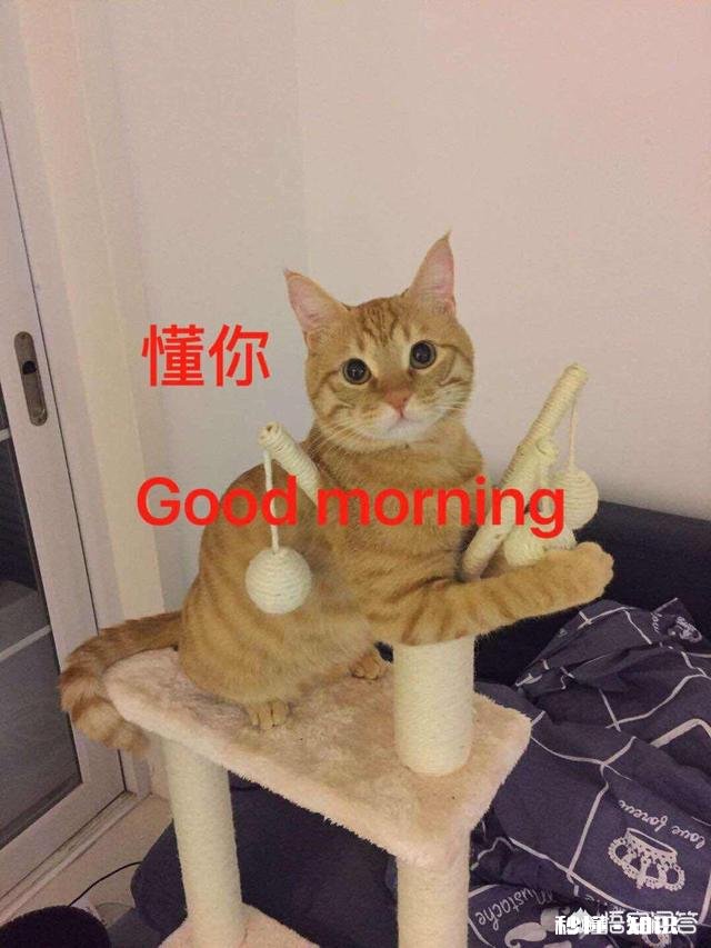 有人说张爱玲最动听的情话仅13个字,却教会了我们如何去爱一个人,你怎么看