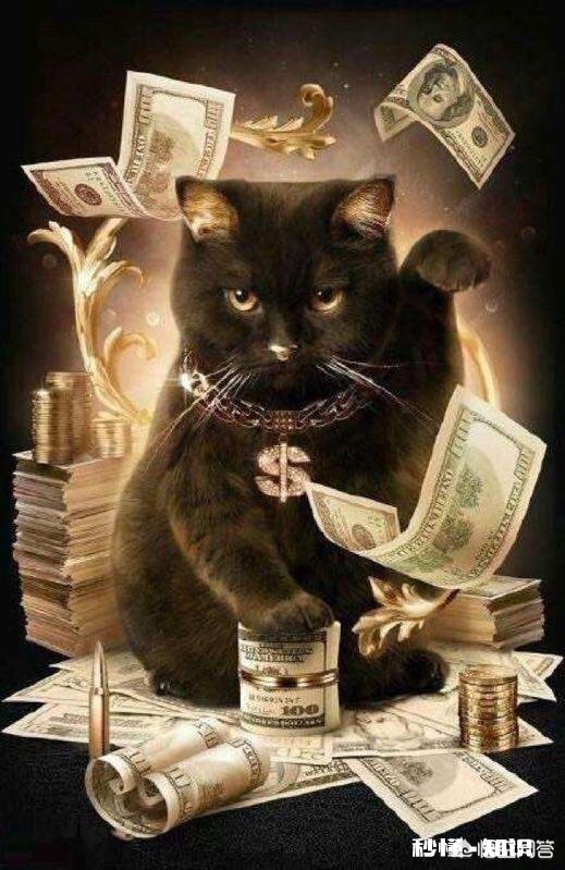 有人说张爱玲最动听的情话仅13个字,却教会了我们如何去爱一个人,你怎么看