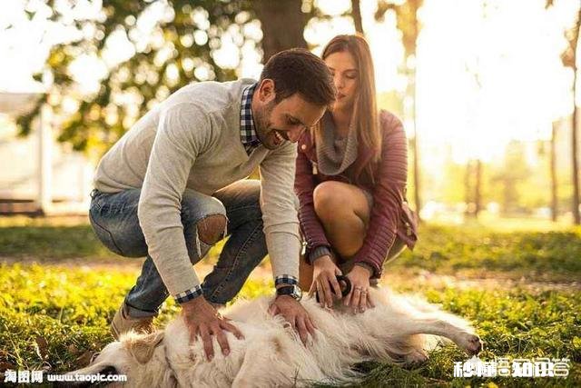 感情破裂的夫妻还能破镜重圆吗