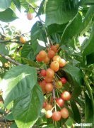 五一假期你是在家待着过，还是出门去那人山人海的景区玩