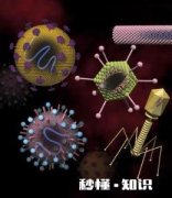 求解，病毒的产生条件和生存状态都要具备哪些因素