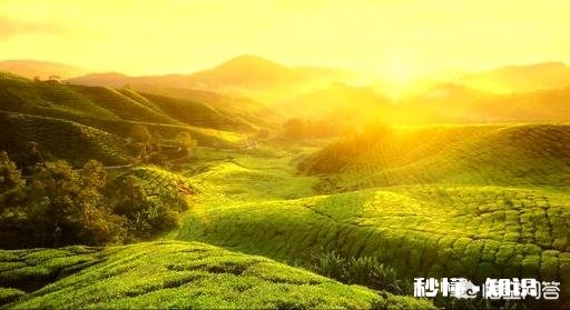 在许多年后，你曾经暗恋的女孩，突然问你，当时你为什么不表白，你会怎么办