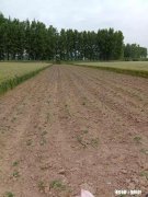 在你看来什么是教养什么是修养