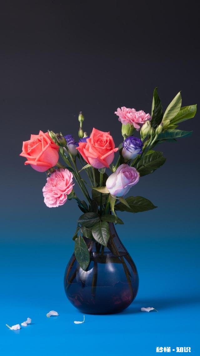 男朋友总想着结婚,可我不愿意那么急,怎么办