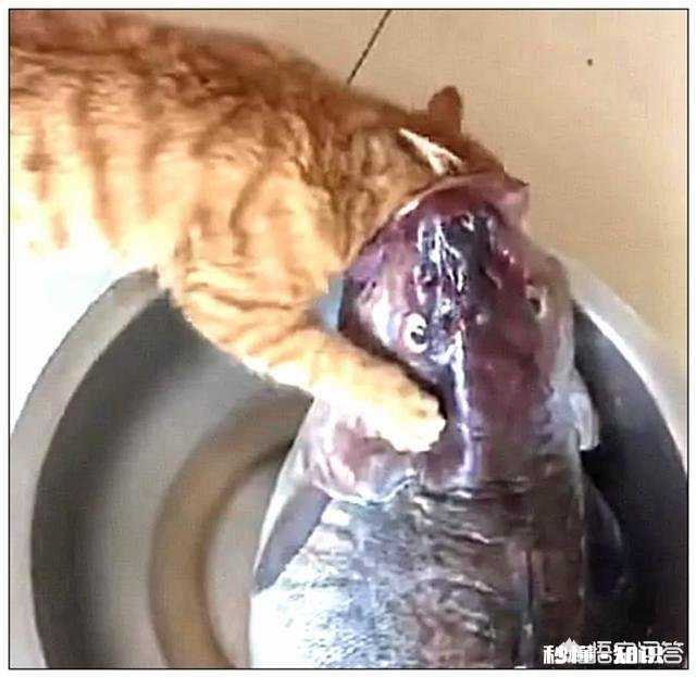 二十五岁，工作三年毫无积蓄，请问是否需要去留学三年