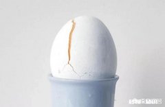 什么是精索静脉曲张