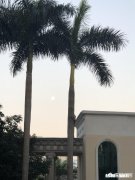 如何在二十几岁的时候投资自己