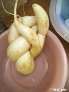 在婚姻生活中是爱情重要，还是对方工作事业重要