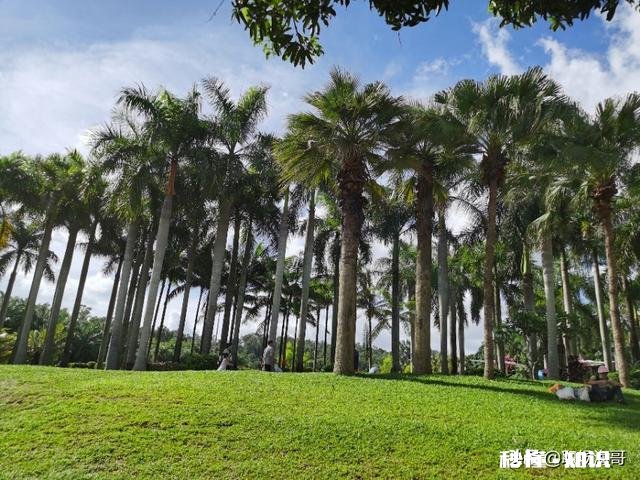 博士人才引进到政府机关，定位事业编管理岗七级，一般发展路线是怎样的