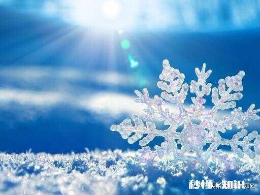 珑格对联25：朝辉夜露增叶秀。请对