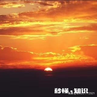 珑格对联25：朝辉夜露增叶秀。请对