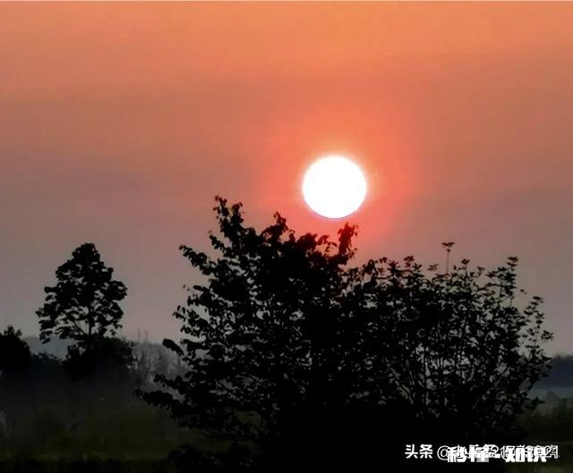 珑格对联25：朝辉夜露增叶秀。请对