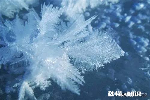 珑格对联25：朝辉夜露增叶秀。请对