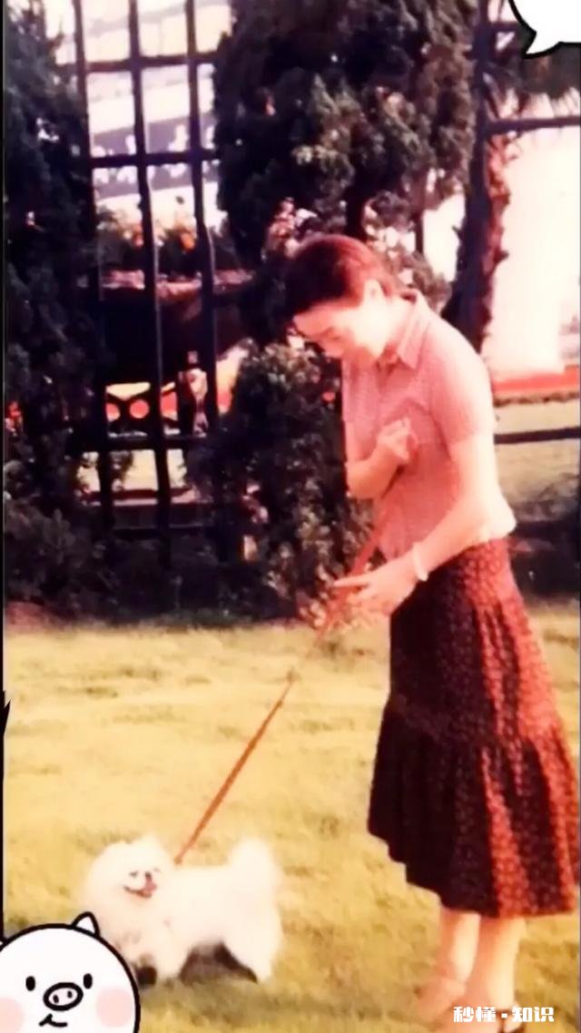 如果你的宠物马上要去世了，你觉得它们会对你表达些什么