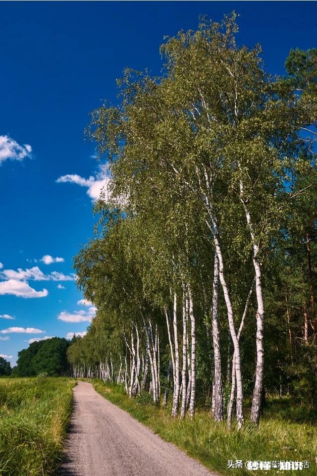 老公说他没钱是因为我命不好！该怎么理解