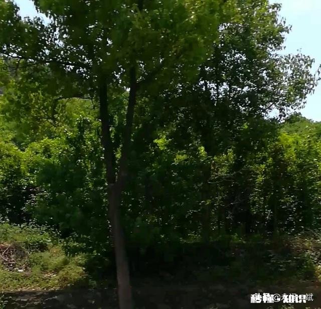 “人，不要深交总是把‘我有个朋友’挂在嘴边的人”，你怎么看