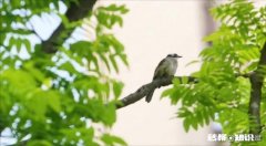 “人，不要深交总是把‘我有个朋友’挂在嘴边的人”，你怎么看