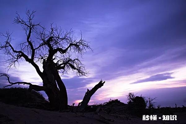 对于不屈不挠的人来说，没有失败这回事，你怎么看