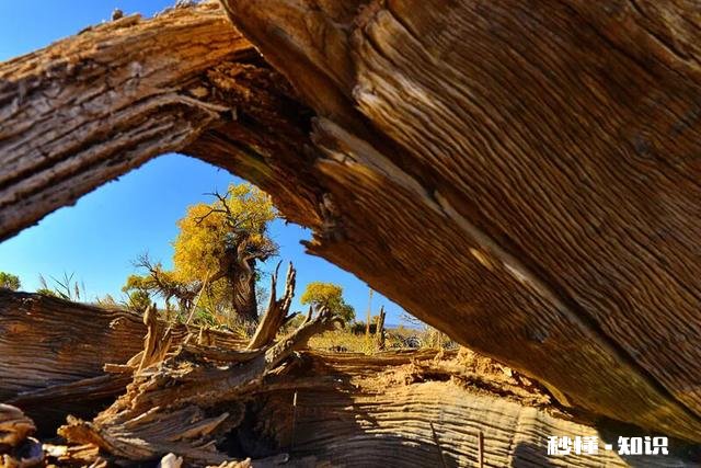 对于不屈不挠的人来说，没有失败这回事，你怎么看