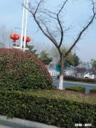 对于不屈不挠的人来说，没有失败这回事，你怎么看