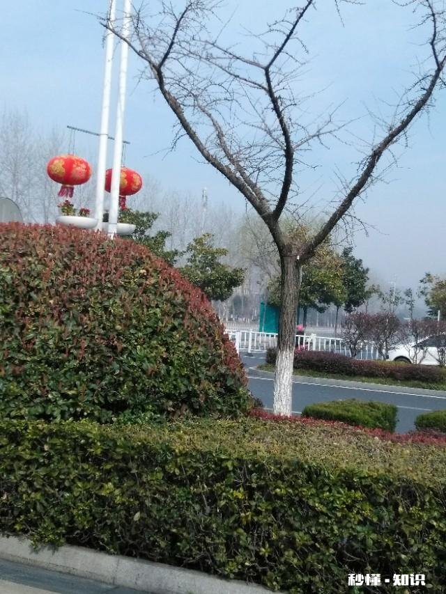 对于不屈不挠的人来说，没有失败这回事，你怎么看