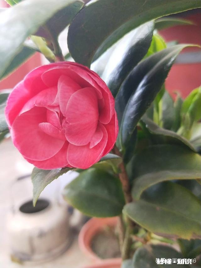 欧律诺墨的哪些品质值得我们学习