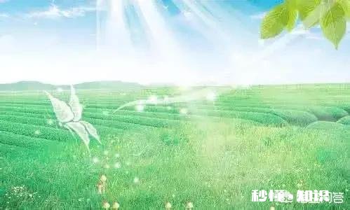 凭良心，你有没有对不起人家的地方