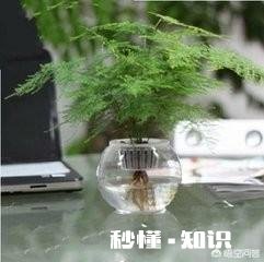 夏天到底该不该开窗室内污染怎样才能去除干净