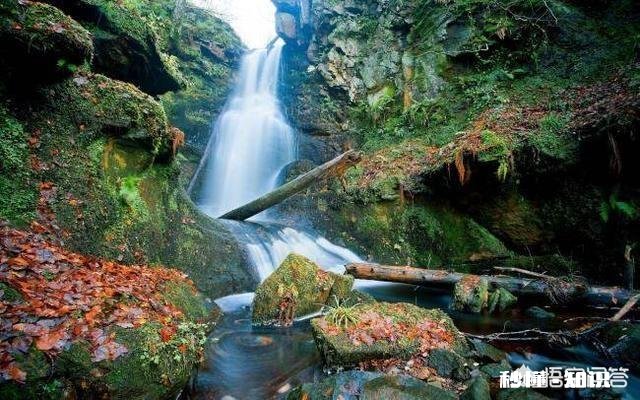 现在的教育方向是什么教育要培养什么样的人