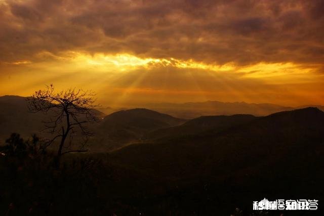 国际原油期货价格持续上涨，国内积极发展锂电池和氢能源是否会提速