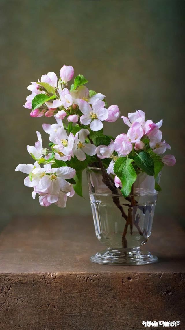 如何回答：“不用收拾了，收拾了明天一样乱”