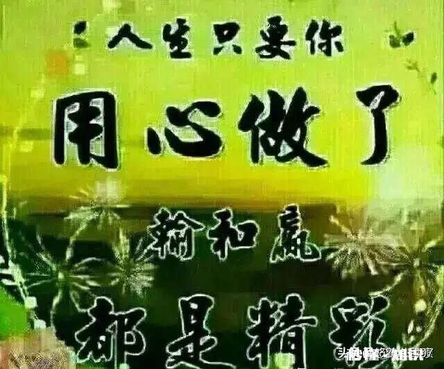 如何回答：“不用收拾了，收拾了明天一样乱”