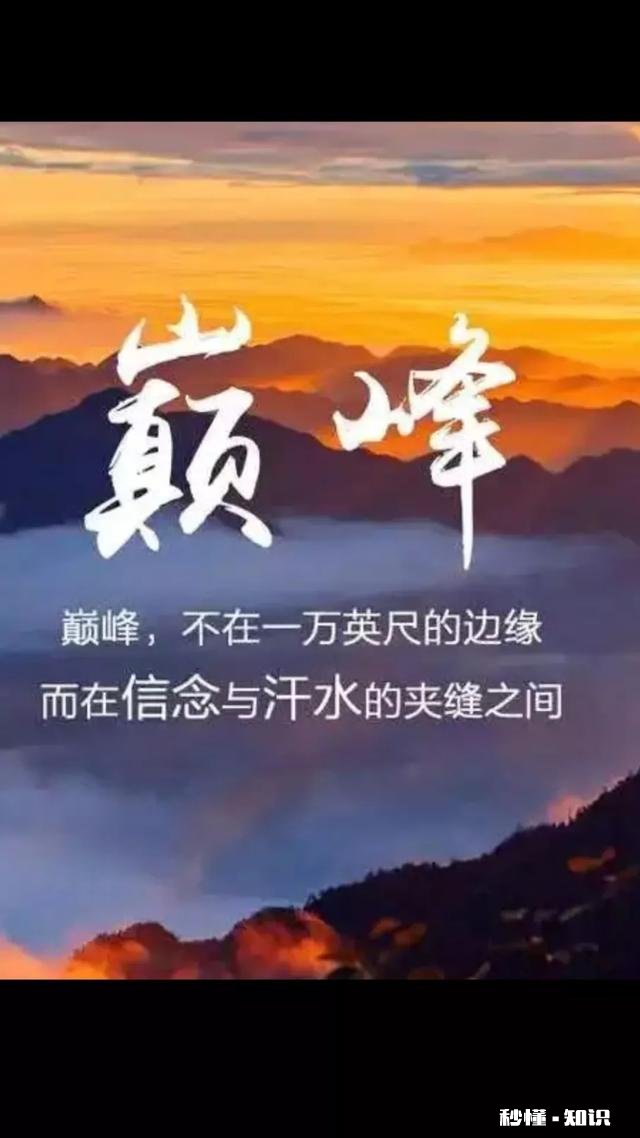 如果让你送给想退出今日头条的朋友一句话你会说什么