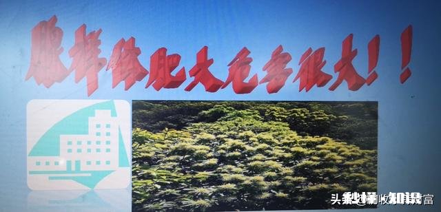 针对孩子的腺样体肥大，你们怎么看