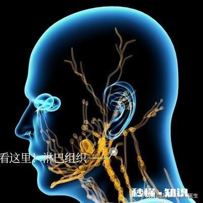 针对孩子的腺样体肥大，你们怎么看