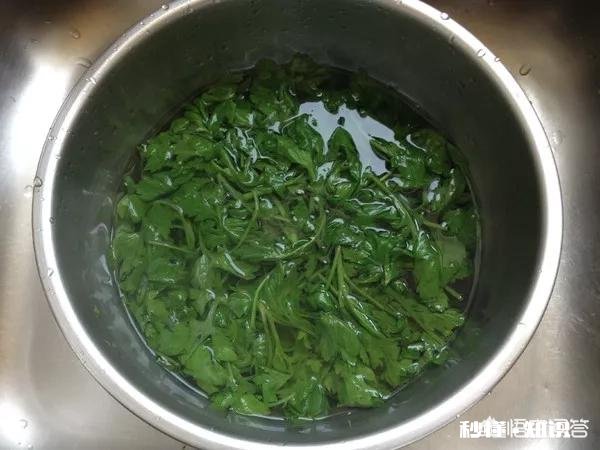 艾叶能吃吗怎么做