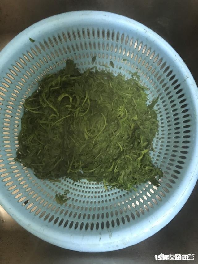 艾叶能吃吗怎么做