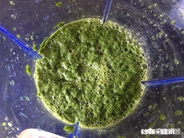 艾叶能吃吗怎么做