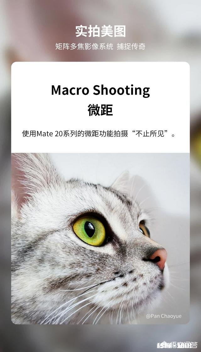 华为mate20照相效果真的像官网图片一样吗
