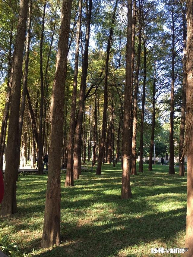 王者荣耀为何不推出水浒传的英雄