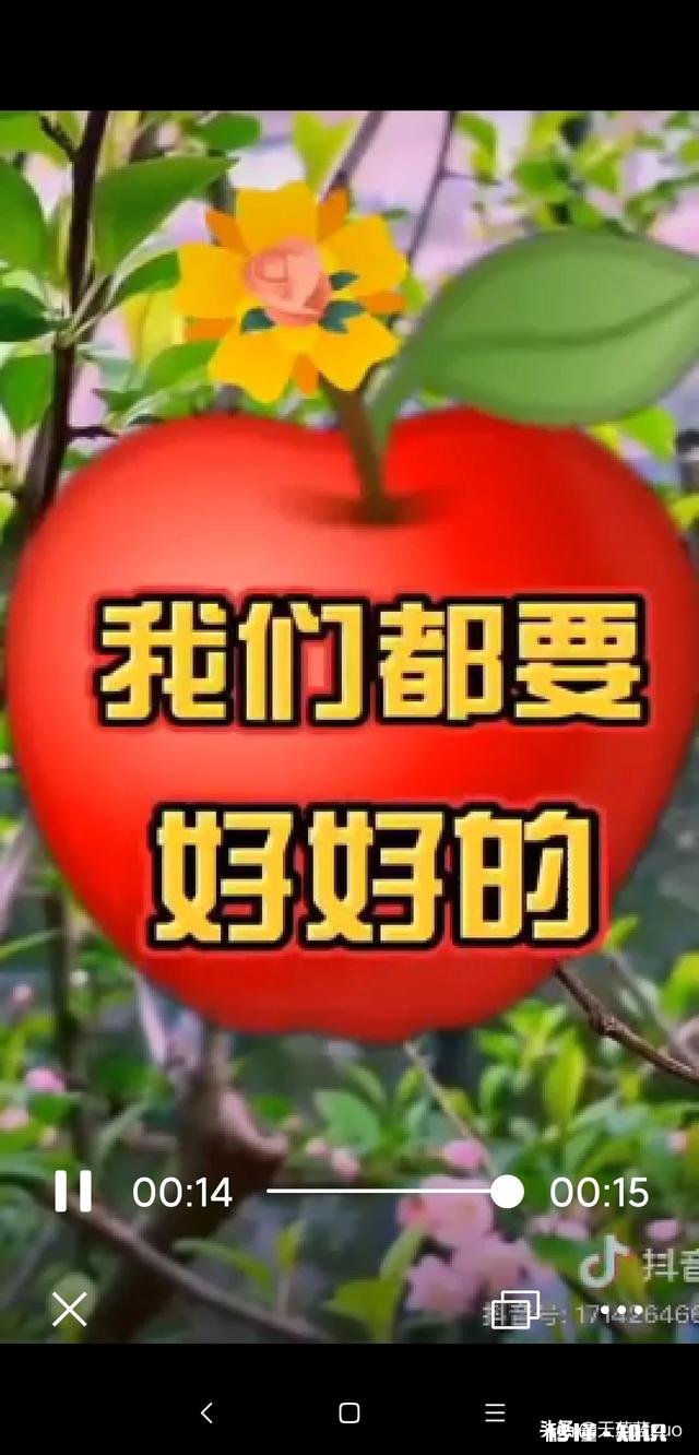 学校饭堂只打一点点饭，还不准加饭，我该怎么办