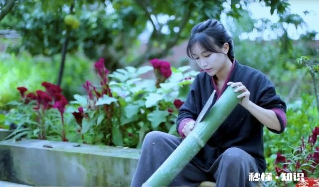 李子柒与丁真，你更喜欢谁