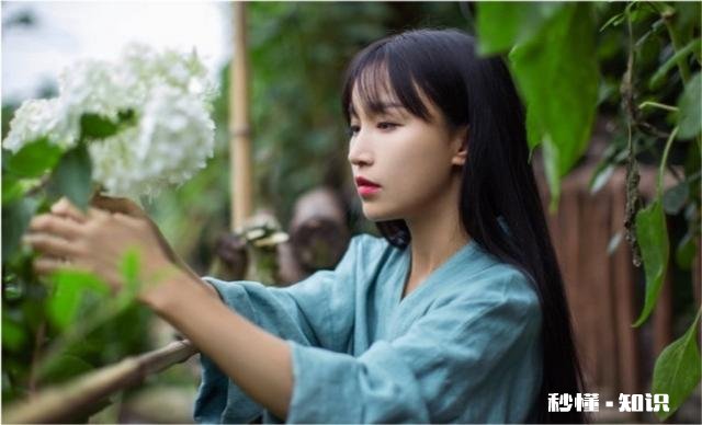 李子柒与丁真，你更喜欢谁