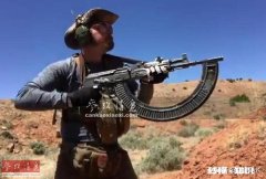 轻武器中，你喜欢哪个国家的制式武器