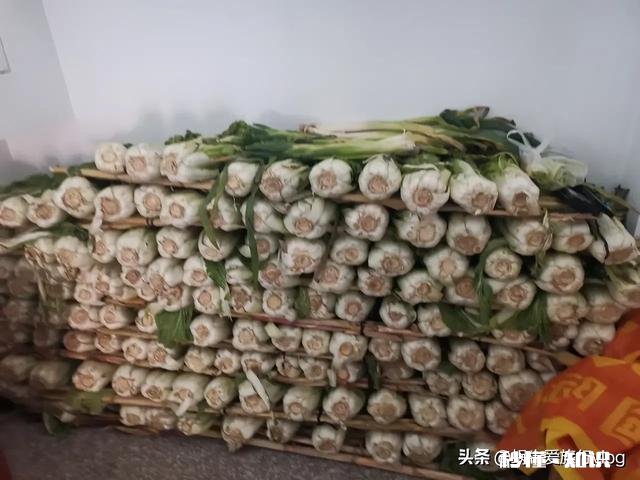 什么是你离开东北才知道的