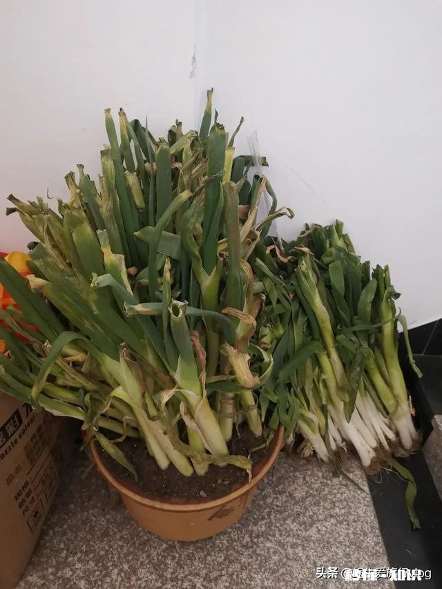 什么是你离开东北才知道的