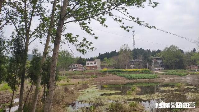 我要做一个快乐的农民，怎么做就快乐了